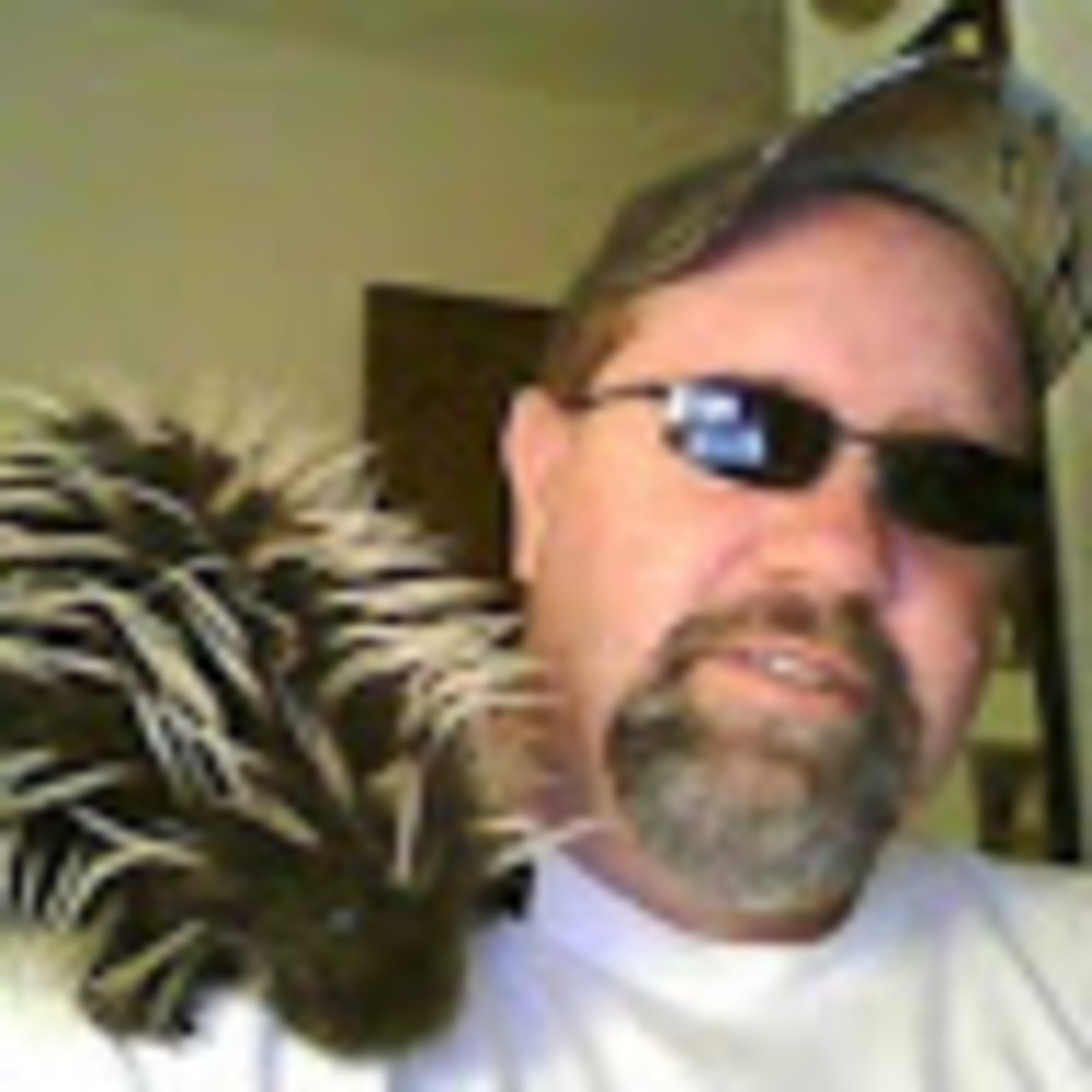 Meet your Posher, Porcupine
